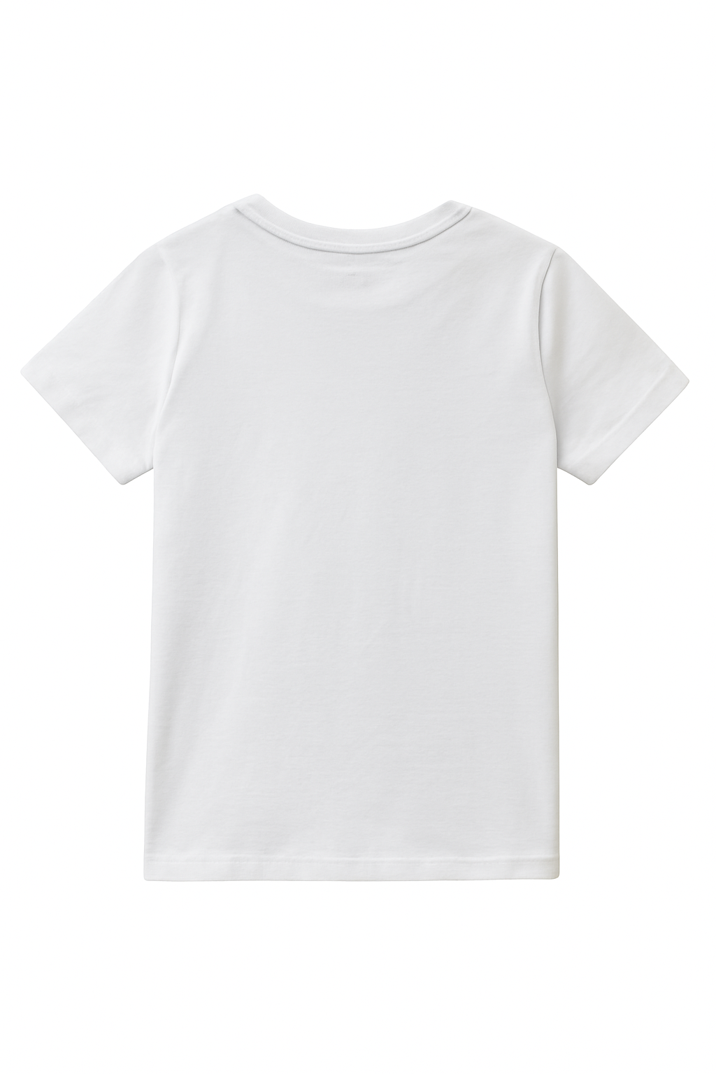 Lot de 2 T-shirt neutre - Blanc & Gris image 3